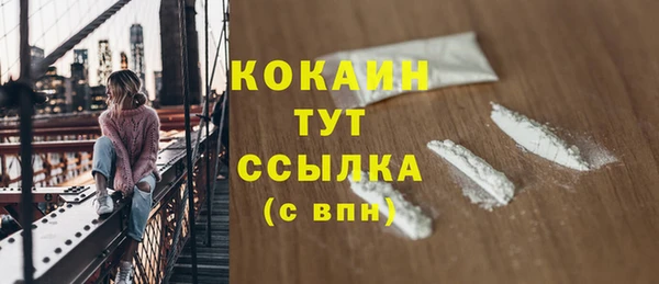 Альфа ПВП Пересвет