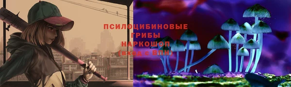 дурь Богданович