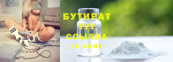 индика Осташков