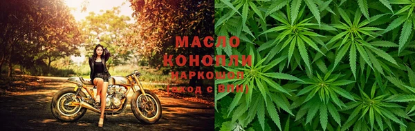 индика Осташков