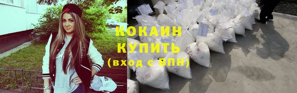 Альфа ПВП Пересвет
